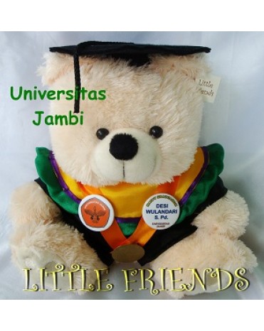 Boneka Wisuda Universitas Jambi (30 cm)